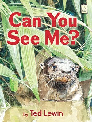 Can You See Me? - ebook